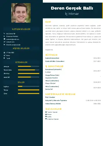 İç Mimar Cv Örnekleri cv indir